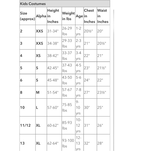 Disney MERIDA Deluxe Costume for Kids NWT Size 13 - Picture 9 of 9